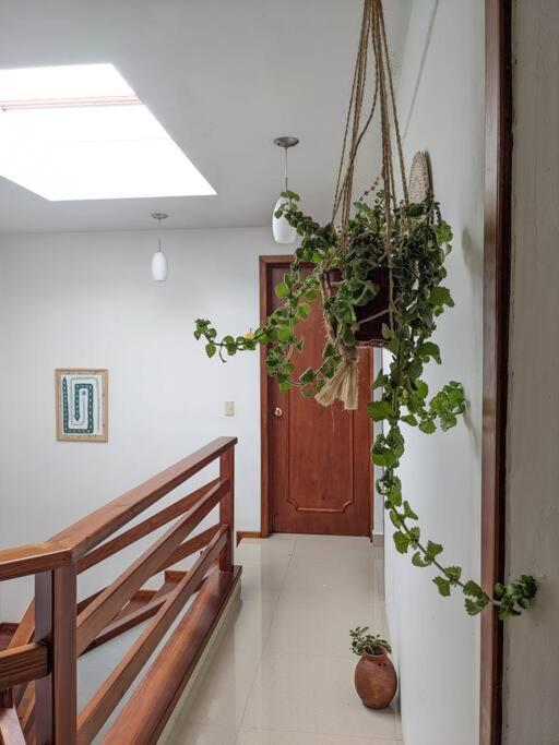 Casa Mua Hotel San Cristobal de las Casas Ngoại thất bức ảnh